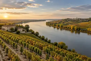 Panorama photoréaliste d’un vignoble bordelais séparé par une rivière, avec des terroirs graveleux à gauche et argilo-calcaires à droite sous une lumière d’automne.